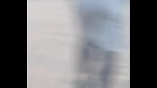 Culito well-pleased trotador